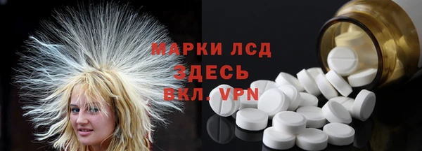 твердый Арсеньев