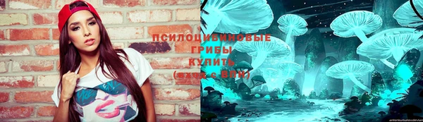 твердый Арсеньев