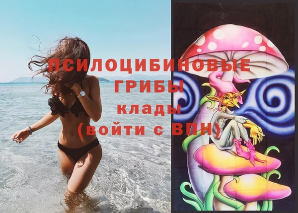 PSILOCYBIN Аркадак